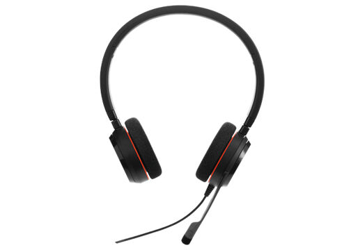 Jabra Evolve 20 Ms Stereo Usb Headset