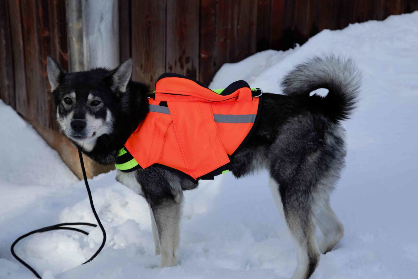 NORDICDOG Xl Gps-turvaliivi