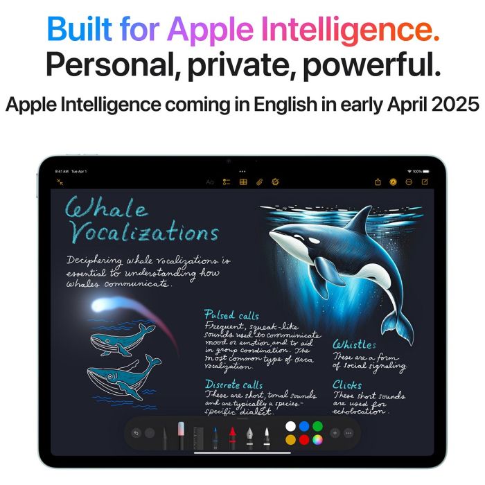 Apple Ipad Air 13 1024gb Wifi