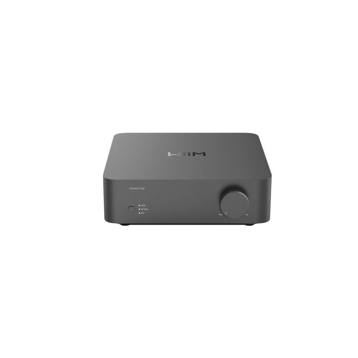 Wiim Vibelink Space Gray Tehovahvistin
