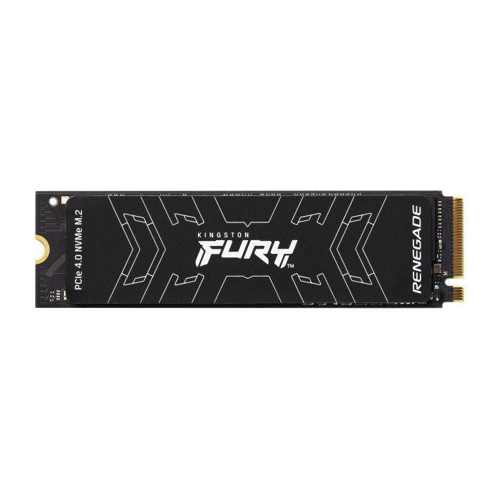 Kingston Fury Renegade 1000gb